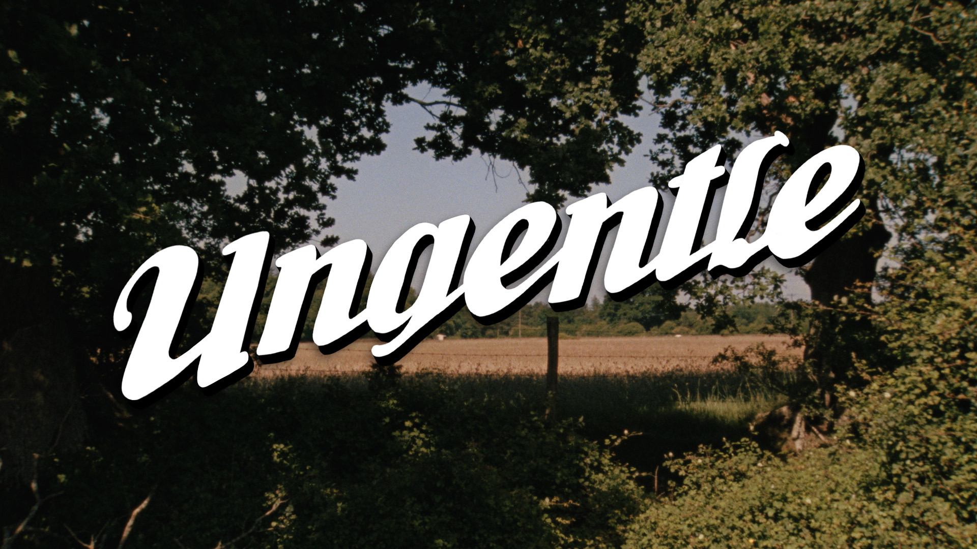 Ungentle, 2023